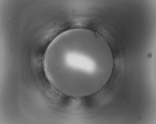 X0000113090423200909182119