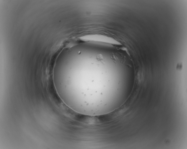 X0000113090424200909182119