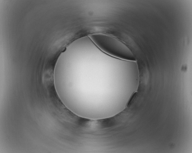 X0000113090425200909182119