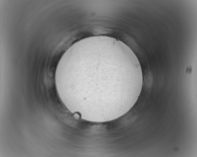 X0000113090426200909182119