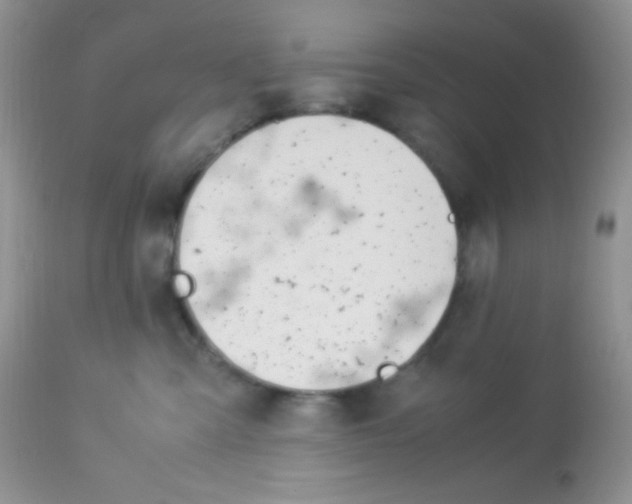 X0000113090427200909182119