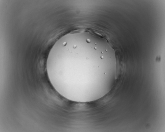 X0000113090428200909182119