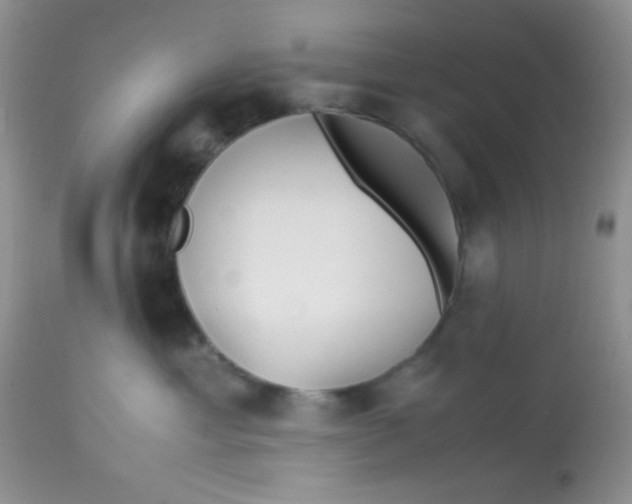 X0000113090429200909182119