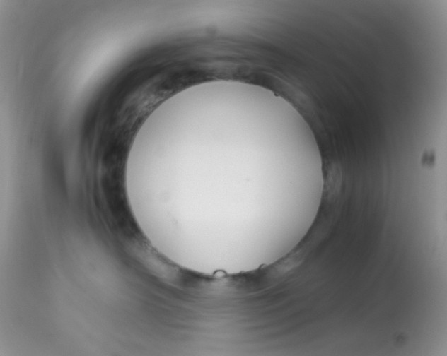 X0000113090430200909182119