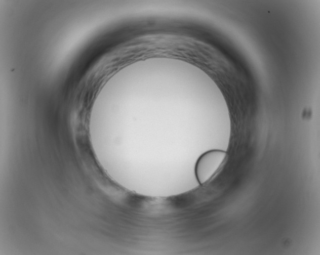 X0000113090431200909182119