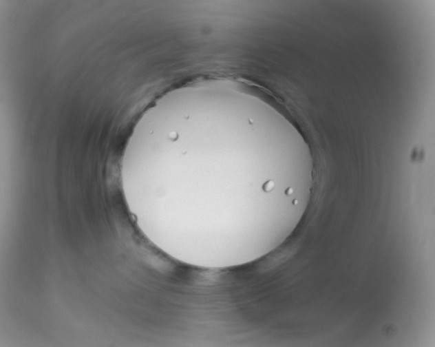 X0000113090432200909182119