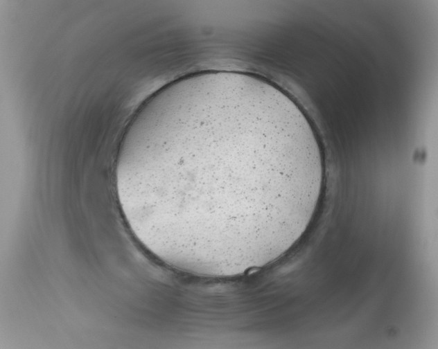 X0000113090433200909182118