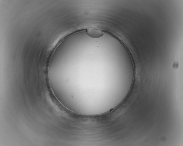 X0000113090434200909182118