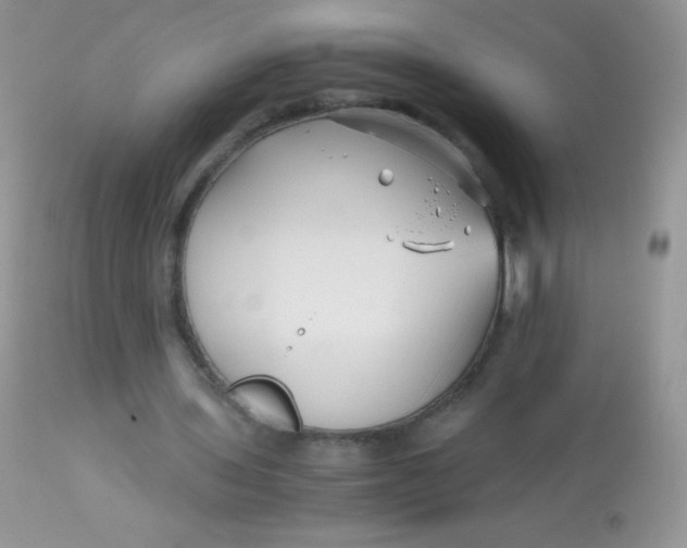 X0000113090435200909182118