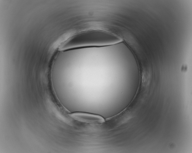 X0000113090436200909182118