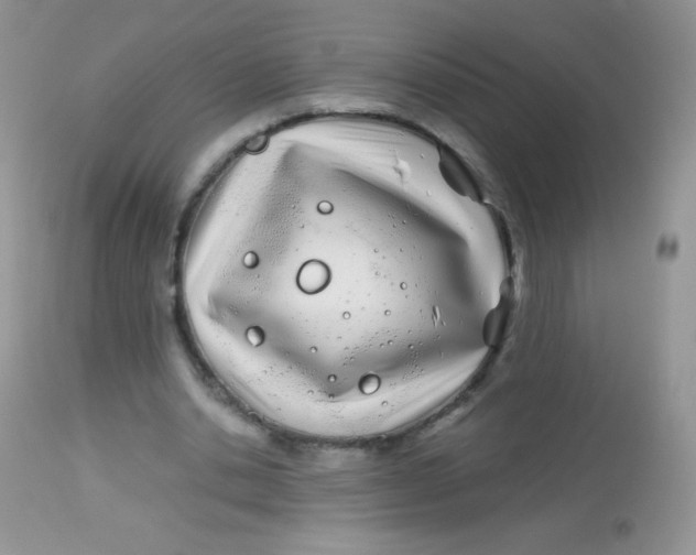 X0000113090438200909182118