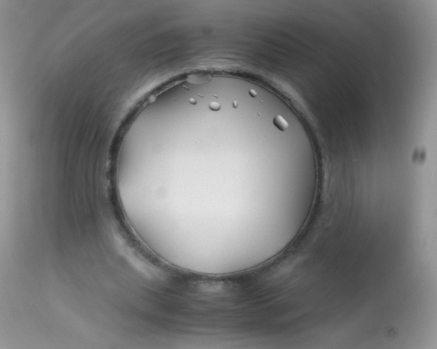 X0000113090439200909182118