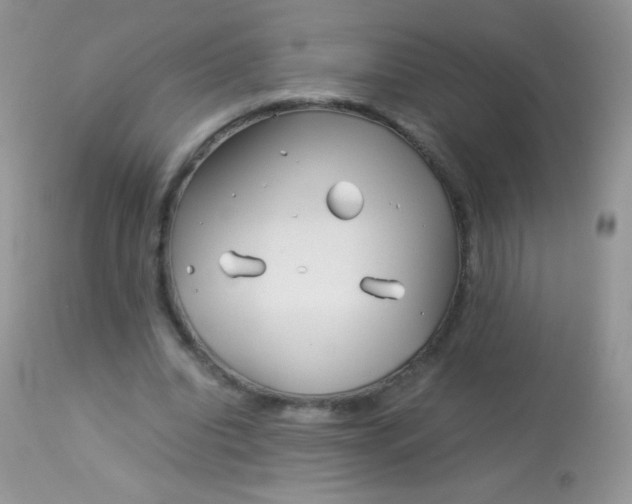 X0000113090440200909182118