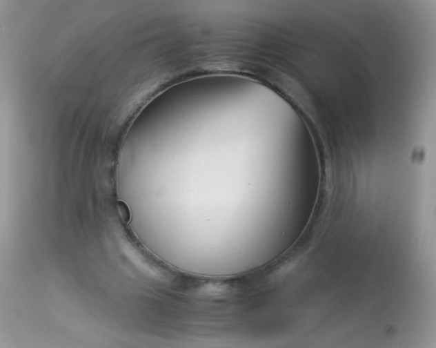 X0000113090441200909182118