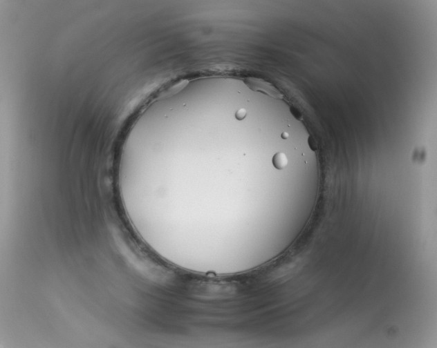 X0000113090443200909182118