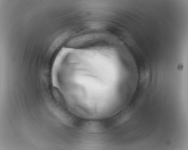 X0000113090444200909182118