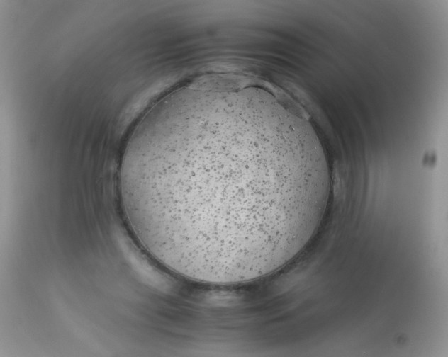 X0000113090445200909182118