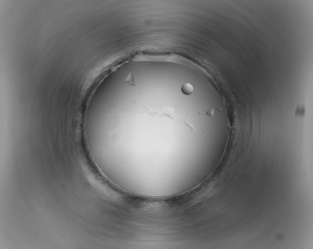 X0000113090446200909182118