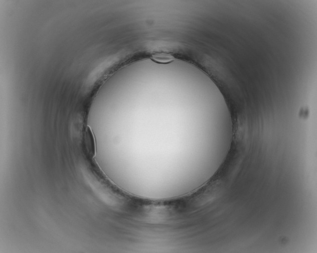 X0000113090448200909182118