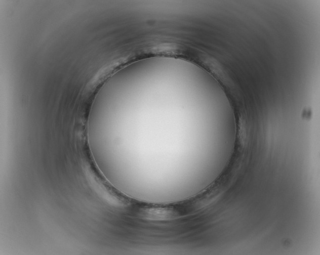 X0000113090449200909182118