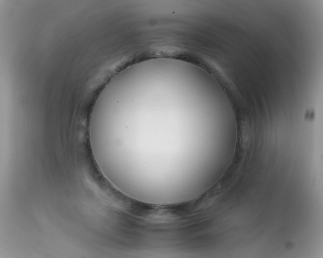 X0000113090451200909182118