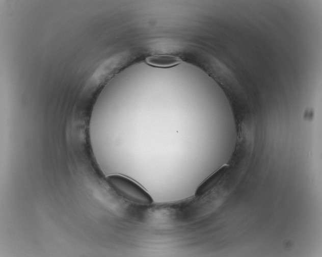 X0000113090452200909182118