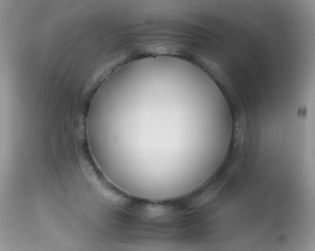 X0000113090453200909182118