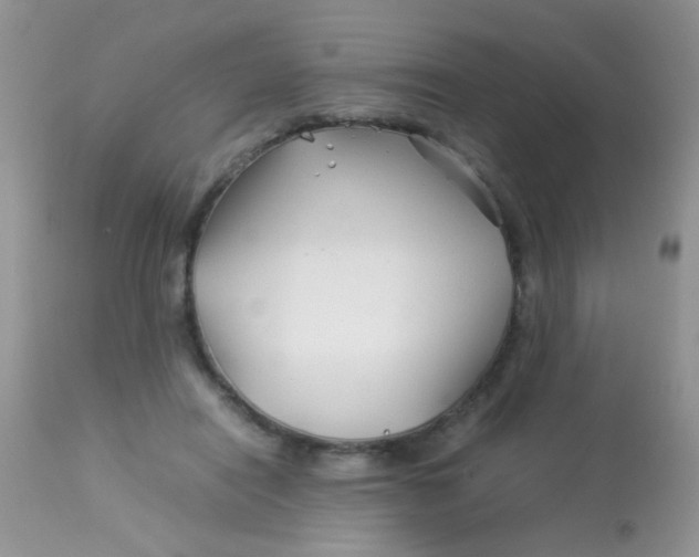 X0000113090454200909182118