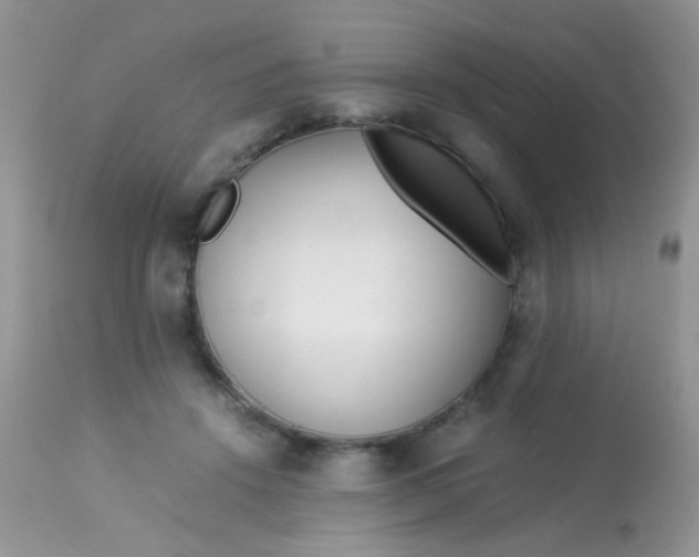 X0000113090456200909182118