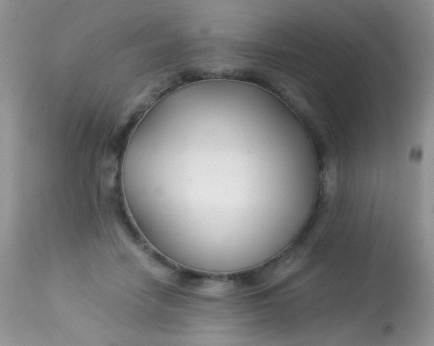 X0000113090458200909182118