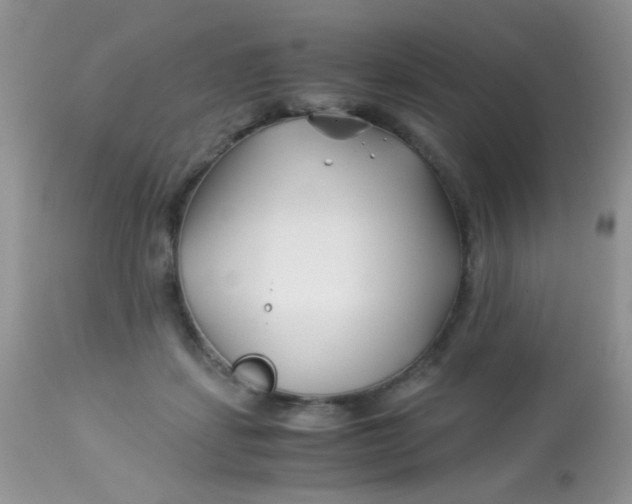 X0000113090459200909182118