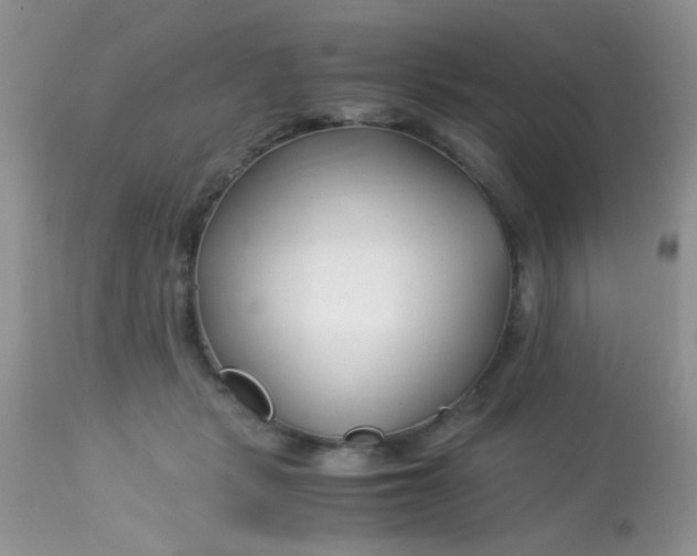 X0000113090461200909182118