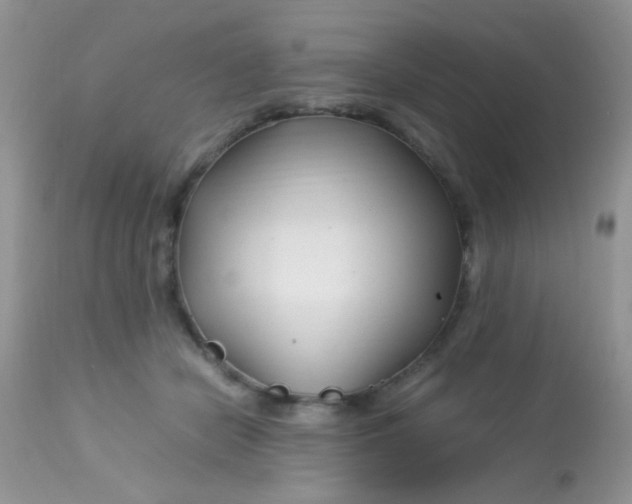 X0000113090462200909182118