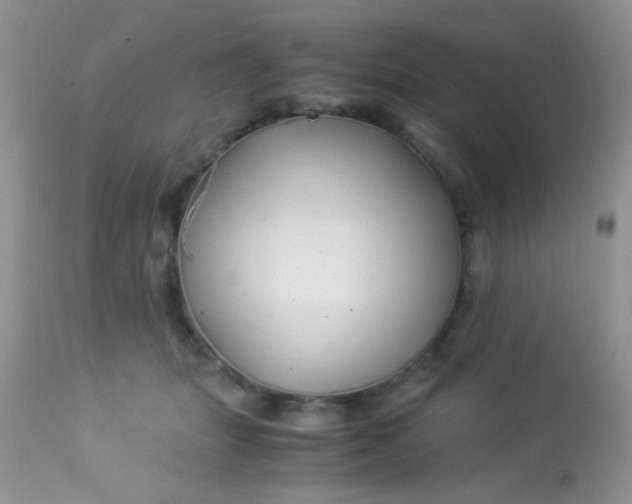 X0000113090463200909182118