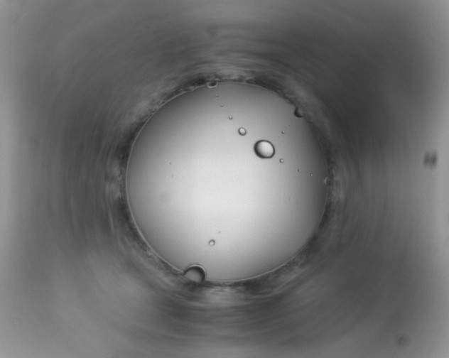 X0000113090465200909182118