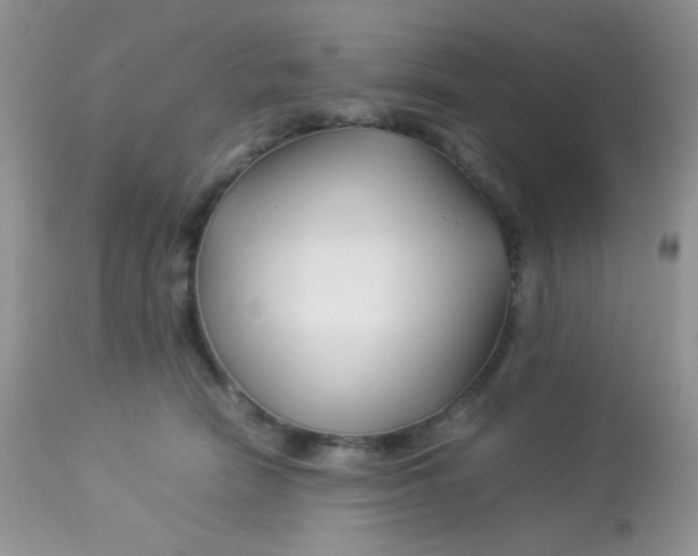 X0000113090466200909182118