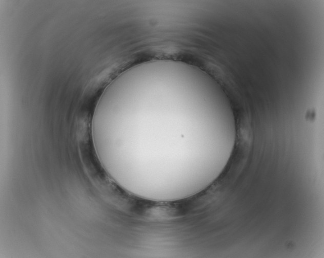 X0000113090468200909182118