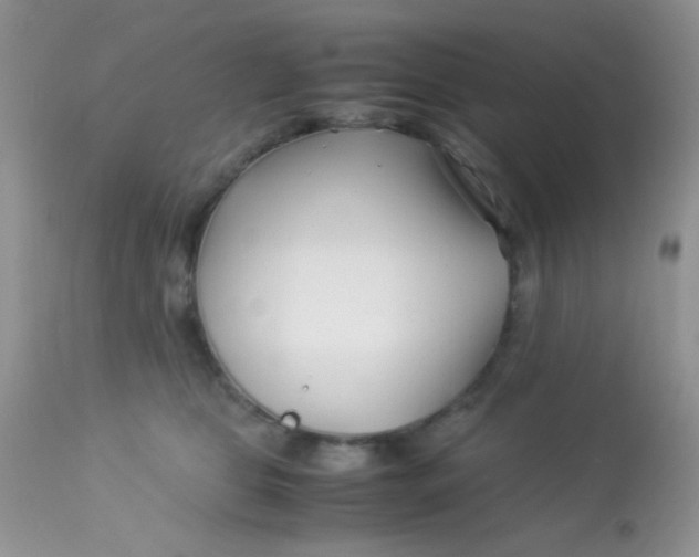 X0000113090469200909182118