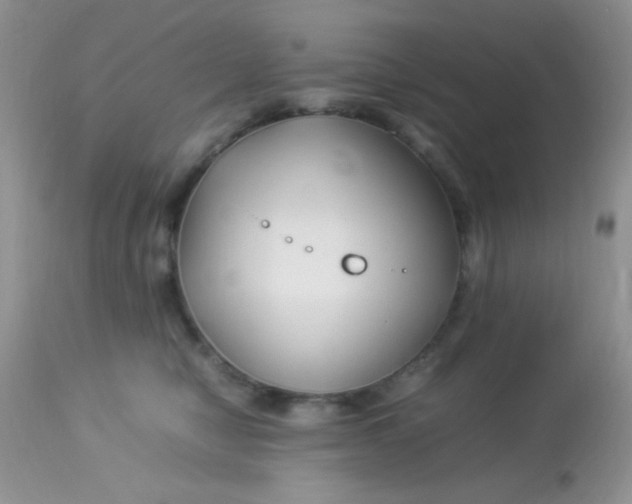 X0000113090470200909182118