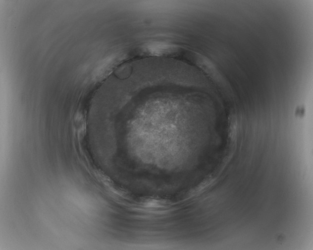 X0000113090471200909182118