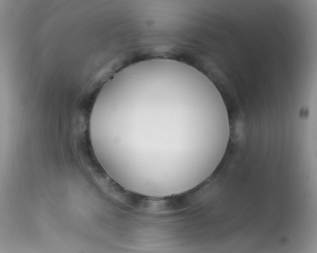 X0000113090472200909182119