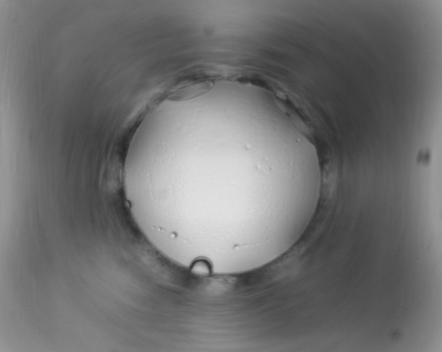 X0000113090474200909182119