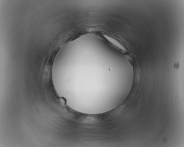 X0000113090475200909182119