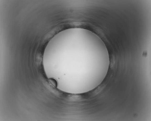 X0000113090476200909182119