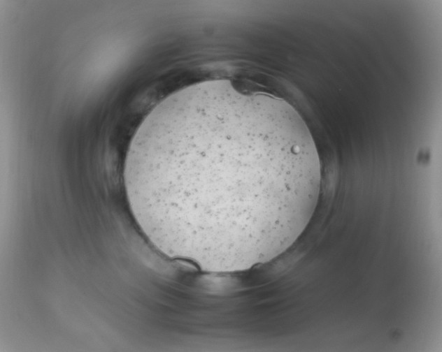 X0000113090477200909182119