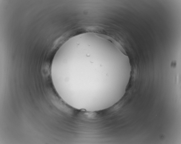 X0000113090478200909182119