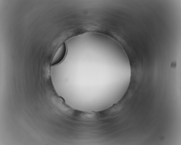 X0000113090479200909182119