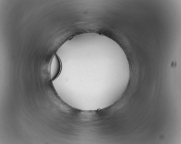 X0000113090480200909182119