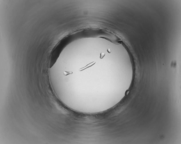 X0000113090481200909182118