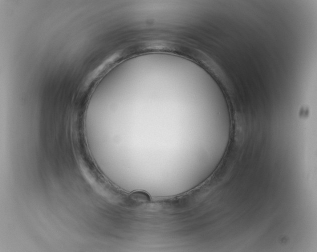 X0000113090482200909182118